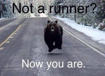 Bear running down a road.